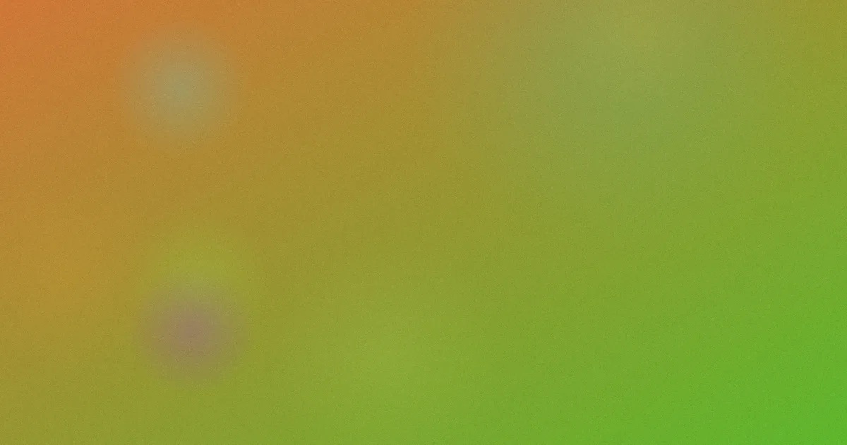 林奇对比：复盘一次入门选择